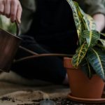 Tools for gardener